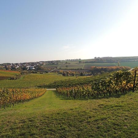 Weingut Seck Otel Dolgesheim Dış mekan fotoğraf