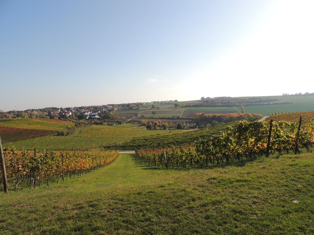 Weingut Seck Otel Dolgesheim Dış mekan fotoğraf