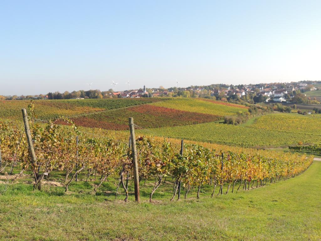 Weingut Seck Otel Dolgesheim Dış mekan fotoğraf